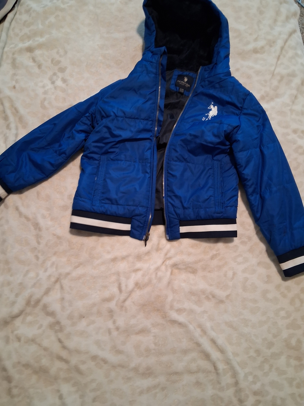 U.S. Polo Assn. Royal Blue Hooded Puffer Jacket